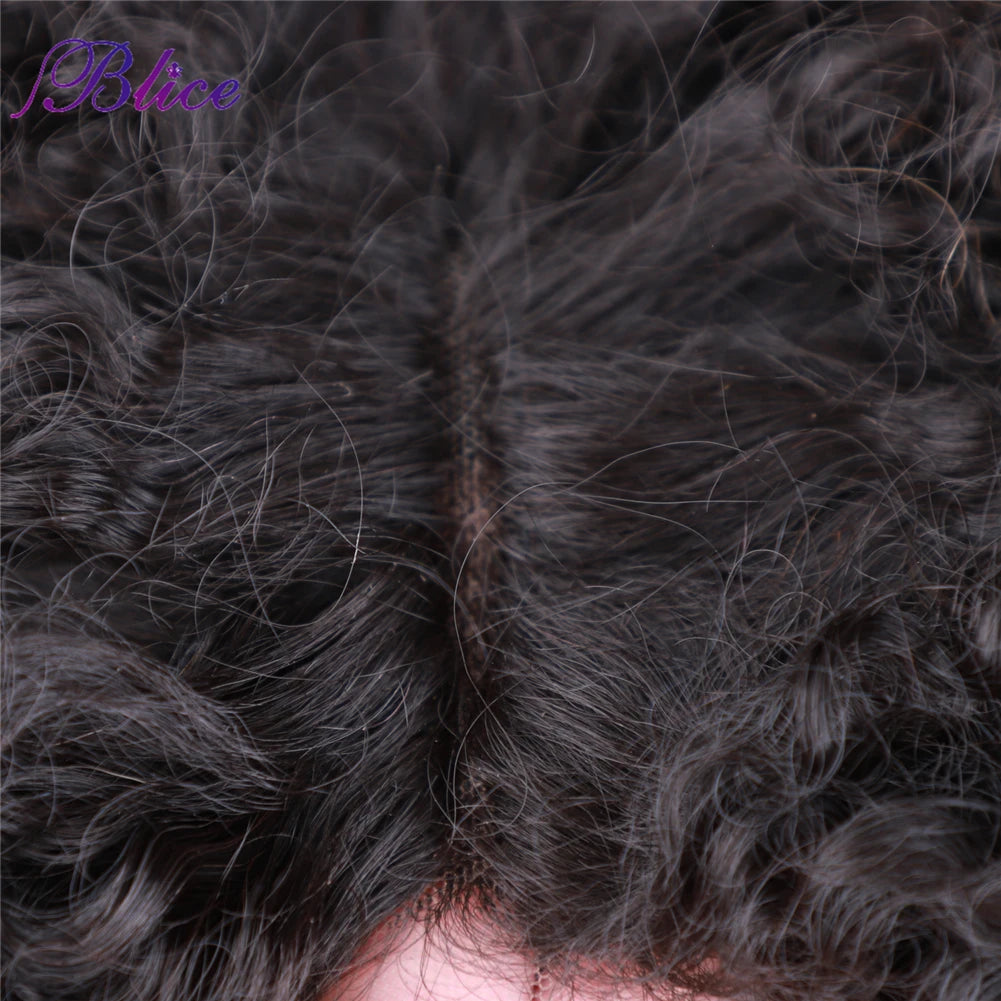 Blice Afro Kinky Curly Middle Part Closure Wig Natural Mixed Synthetic Hair Wigs 16 Inch Black Color For Women