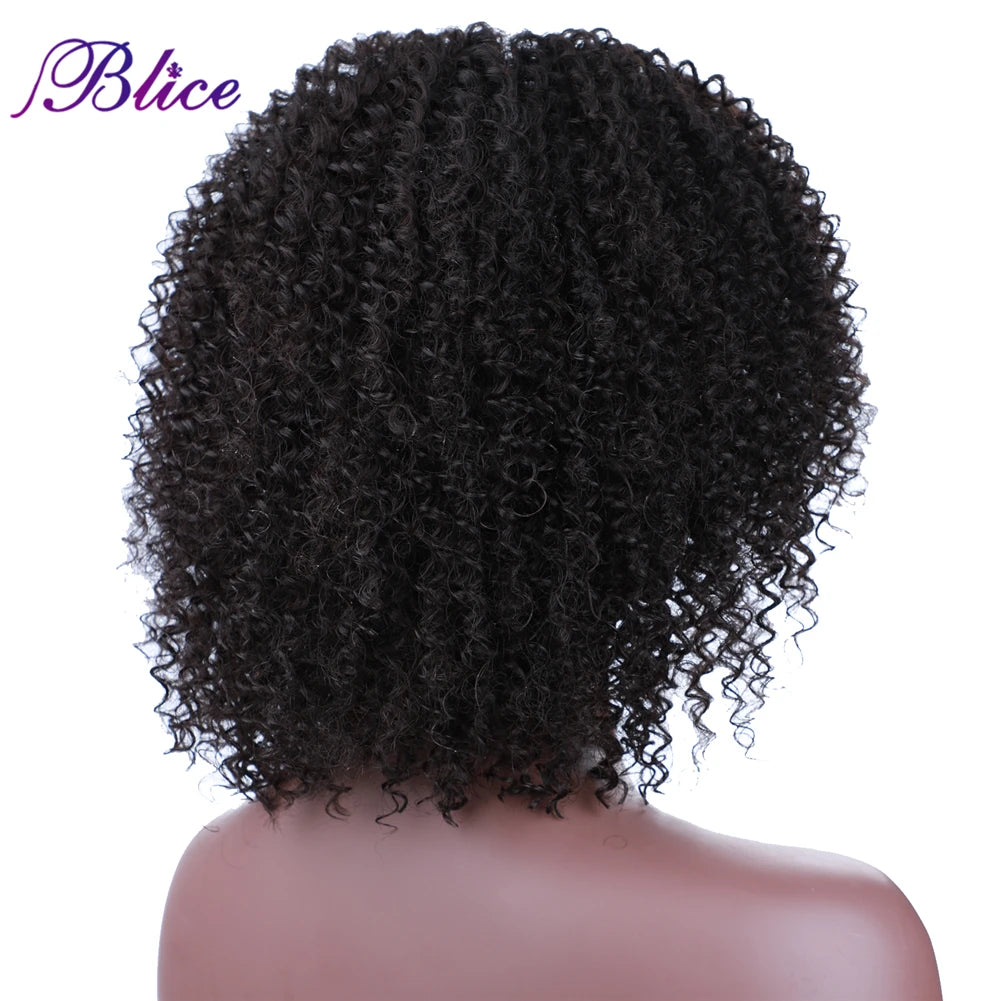 Blice Afro Kinky Curly Middle Part Closure Wig Natural Mixed Synthetic Hair Wigs 16 Inch Black Color For Women