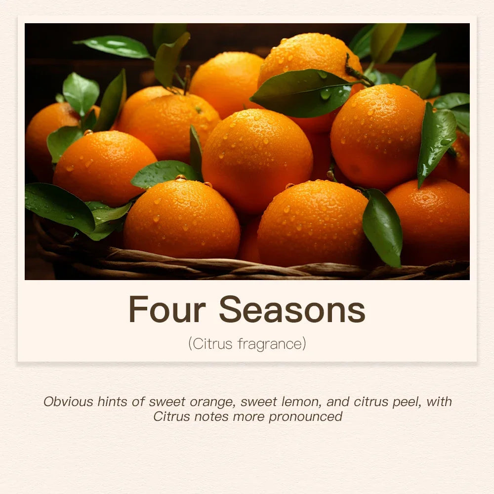 100ML Hotel Room Fragrance Diffuser for Home Air Freshener Scenting Device Air Purifier Humidifier Car Essential Oil Refil