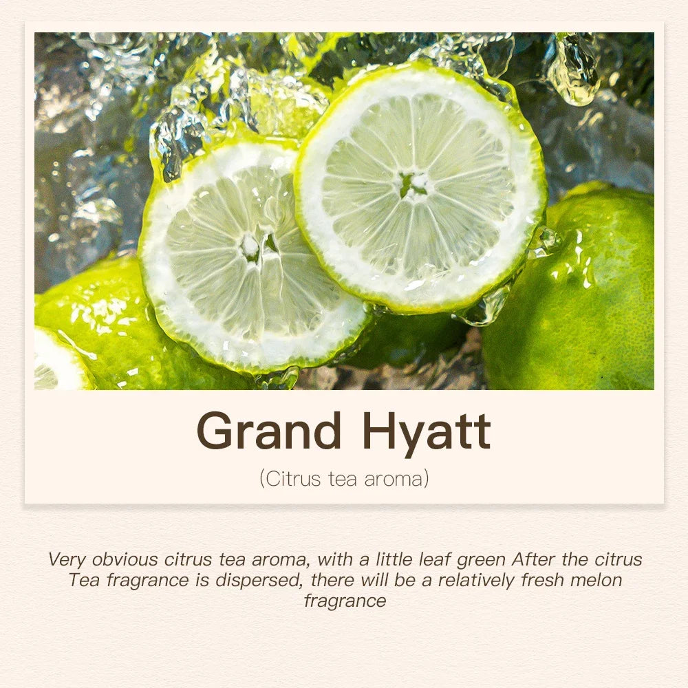 100ML Hotel Room Fragrance Diffuser for Home Air Freshener Scenting Device Air Purifier Humidifier Car Essential Oil Refil